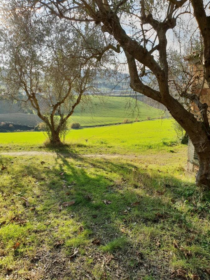Agriturismo Vallelunga Ancona Exteriér fotografie